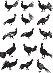 Pheasant Elegant Silhouette Vector on white background