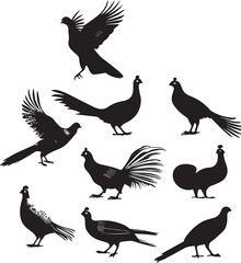 Pheasant Elegant Silhouette Vector on white background