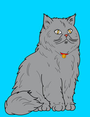 black cat with blue eyes