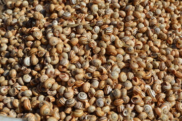 Sicilia,Siracusa,il mercato