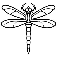 Elegant Sea Dragonfly Vector Sketch