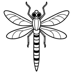 Elegant Sea Dragonfly Vector Sketch