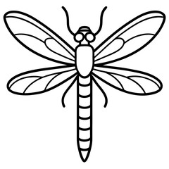 Elegant Sea Dragonfly Vector Sketch