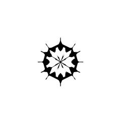 Symmetrical Black and White Geometric Starburst Mandala on Clean White Backdrop, Abstract Composition.