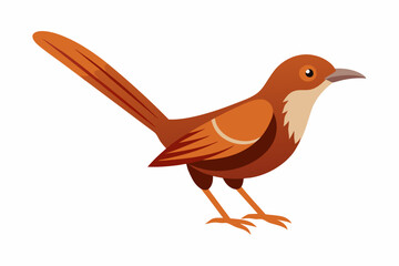 Brown Thrasher Bird Creative Vector Design on White Background