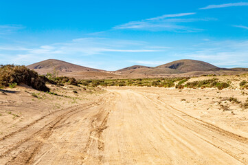 Track into the Canada de Melian riverbed, Island Fuerteventura, Canary Islands, Spain, Europe.