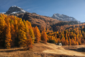Autumn in Switzerland - Grisons