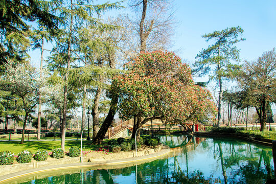 View of  Hamid pond in the hasbahce garden of  historical yildiz sarayi (star palace) in istanbul
