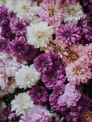 A Beautiful Assortment of Colorful Flowers Displaying Shades of Purple, Pink, and White in an Elegant Arrangement Ideal for Floral Designs