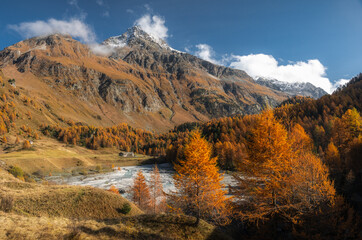 Autumn in Switzerland - Grisons
