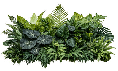Lush arrangement of various green plants and ferns creating a dense foliage backdrop, showing...