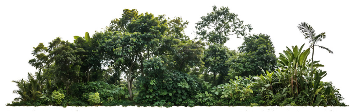 View of dense green forest tree canopy from below, showing lush foliage of tropical or rainforest trees against bright sky background in nature setting - Powered by Adobe
