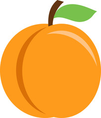 Apricot Icon. Flat Vector Illustration.