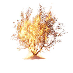 A Burning Bush Glowing with Divine Light Isolated on Transparent Background
