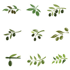 set of Olive logo template vector icon illustration design