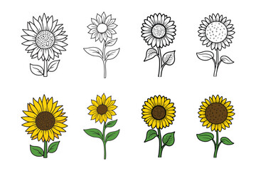 Set of vector Sunflower flower, white background,  coloring page, vector illustration. Perfect for wedding, cards, posters, flyers