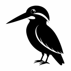 Flat Kingfisher Silhouette Artwork