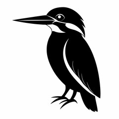 Flat Kingfisher Silhouette Artwork