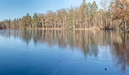 trees on shore and thin ice on frozen lake in winter forest, Stuttgart, Germany