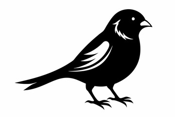 canary line art silhouette vector illustration