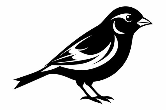 canary line art silhouette vector illustration