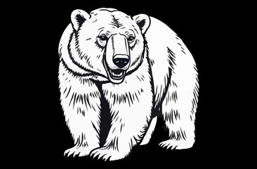 abstract illustration Ursus maritimus white bear
