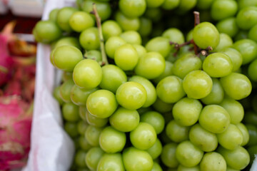 Close-up of fresh green Shine Muscat grapes.