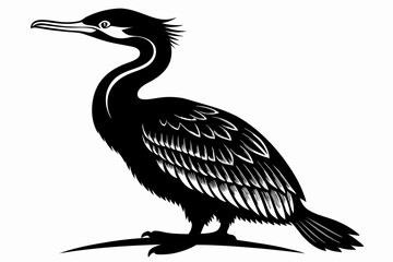 cormorant line art silhouette vector illustration