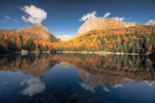 Autumn in Switzerland - Grisons