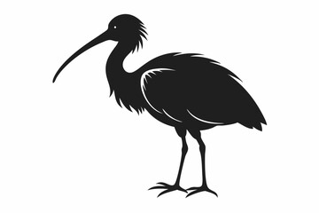 ibis line art silhouette vector illustration