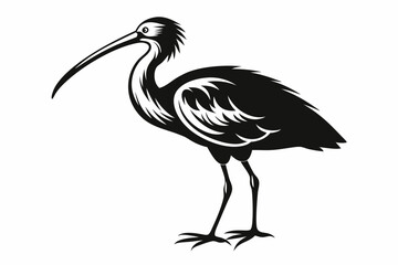 Obraz premium ibis line art silhouette vector illustration