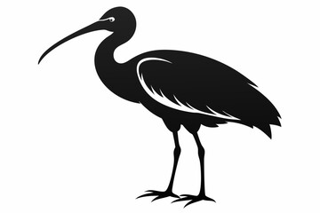 ibis line art silhouette vector illustration