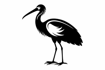 ibis line art silhouette vector illustration
