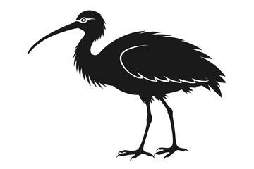 ibis line art silhouette vector illustration