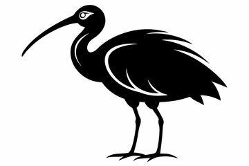 ibis line art silhouette vector illustration