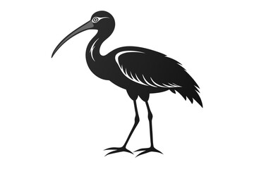 Obraz premium ibis line art silhouette vector illustration