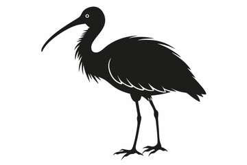 ibis line art silhouette vector illustration