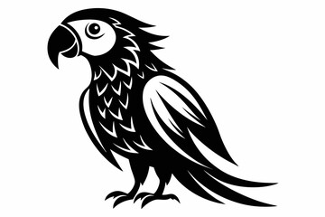 macaw on a white background