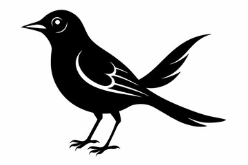 nightingale line art silhouette vector illustration