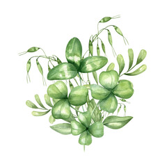 Watercolor uncultivated rustic green grass plant, clover leaf bouquet illustration background. Hand painted meadow wildflowers and herbs for birthday greeting card, invitation, wedding decor