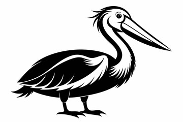 pelican line art silhouette vector illustration