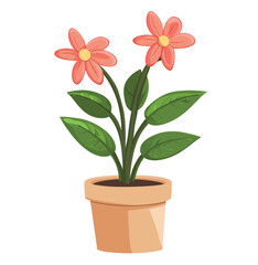 Fototapeta premium flower in a pot