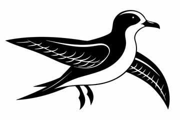 petrel bird line art silhouette vector illustration