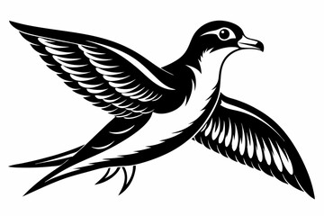 petrel bird line art silhouette vector illustration