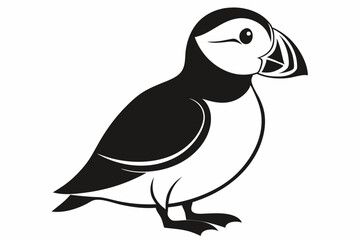 puffin bird line art silhouette vector illustration