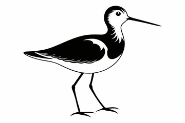 sandpiper line art silhouette vector illustration