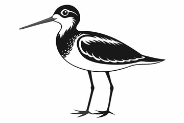 sandpiper line art silhouette vector illustration