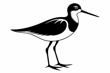 sandpiper line art silhouette vector illustration