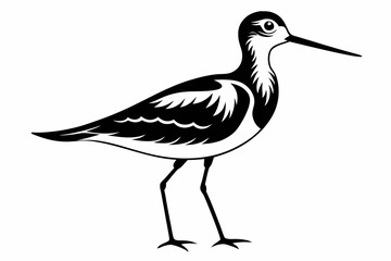 sandpiper line art silhouette vector illustration