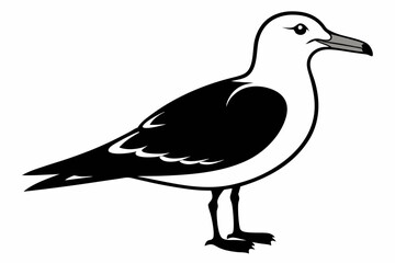 Obraz premium seagull line art silhouette vector illustration